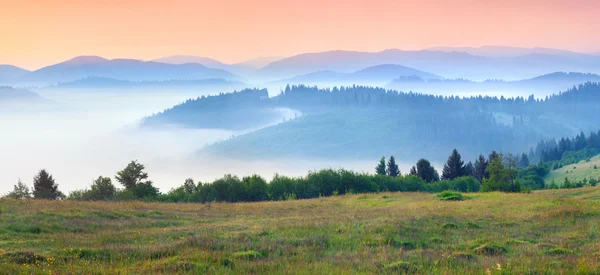 Foggy Carpathian mountains