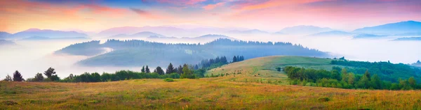 Foggy Carpathian mountains