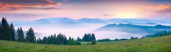 Morning in the foggy Carpathian mountains