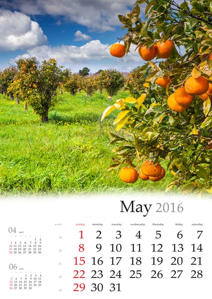 Calendar 2016. May.