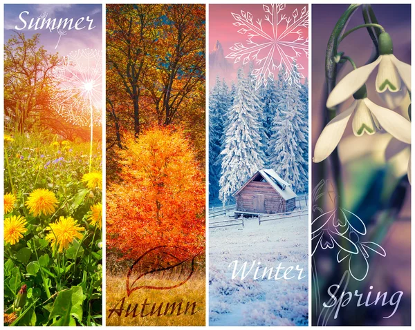 Set of 4 vertical seasons