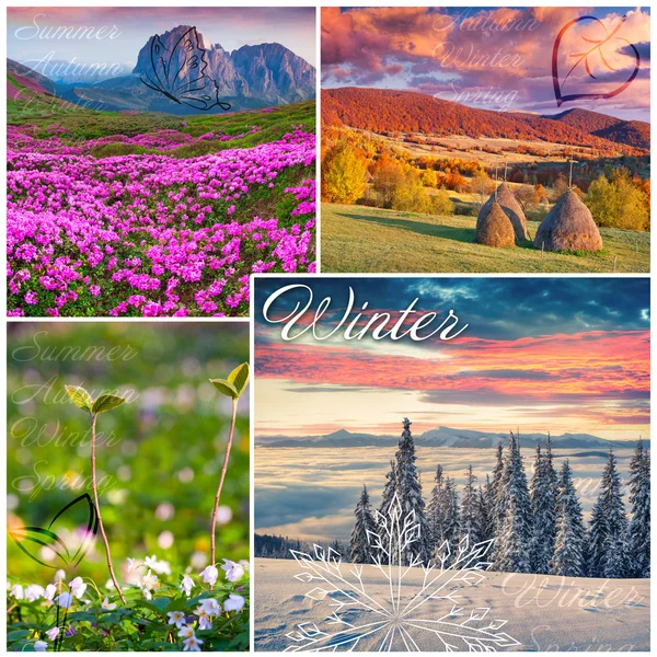 Set of 4 seasons natural landscape