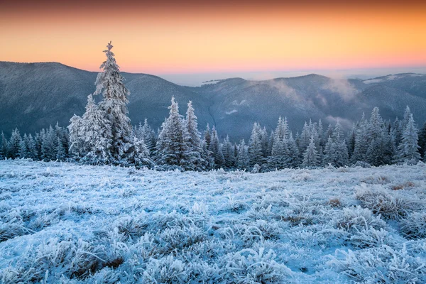 Winter sunset in the frosty mountains