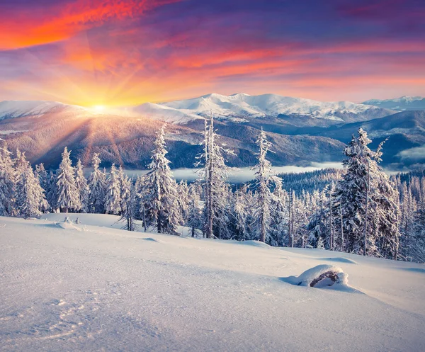 Winter sunrise in the mountains.