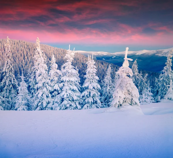 Colorful winter scene in the mountains