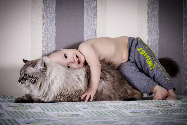 Little boy and cat