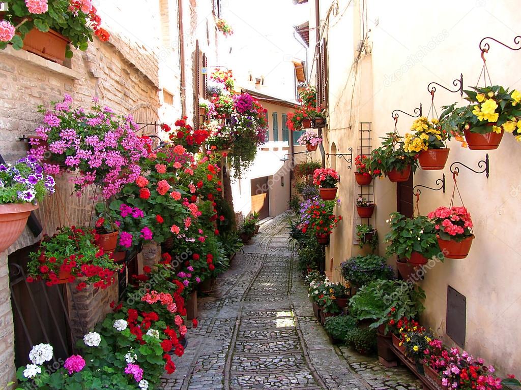 Вікна, балкони та квітка алеї в місті spello - perugia - сто.