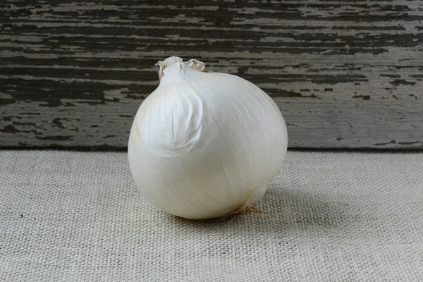 Single White Onion against Rustic wood and Burlap Background