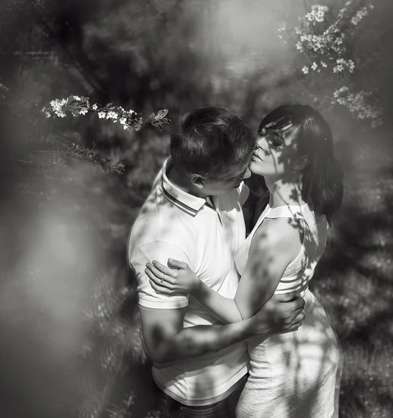 Young are kissing couple under the  big tree with flowers at sunset, concept of the first date. Just marriage. Black and white photo with shadowes ligths on they faces