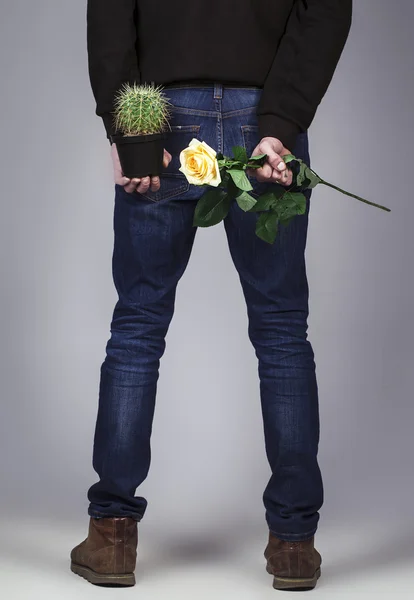 Handsome man Standing with Holding a Rose Flower and Hiding cactus behind his back , posing on a grey background. Concept of a funny joke in the relationship