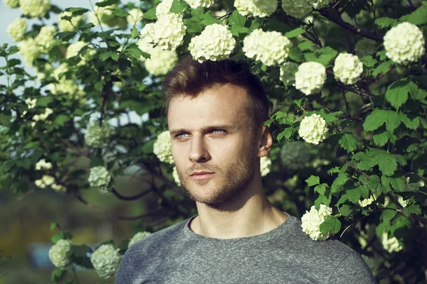 Fashion fresh air concept. Portrait of serious charismatic strong man wearing stylish grey jumper over bush with flowers. Outdoor shot. Attractive look and bottomless eyes