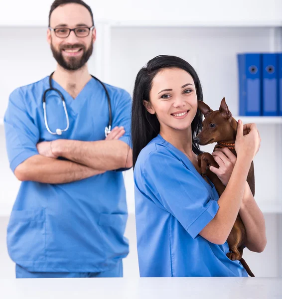 Veterinary