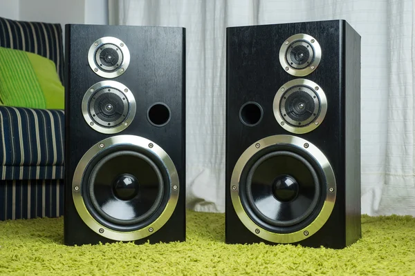 Two Audio speakers