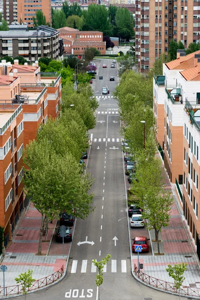 Perspective of a street with its buildings