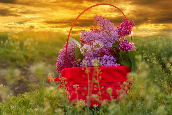 Basket full of flowers at sunset