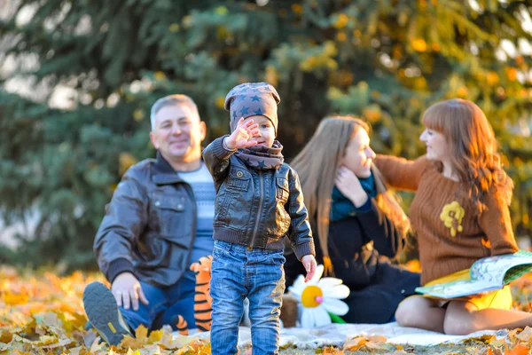 Family resting in a park