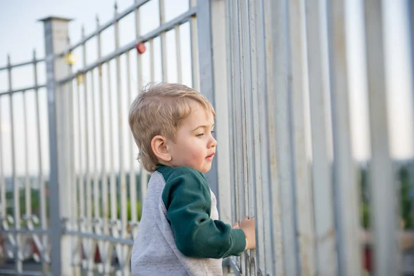 Little boy climbed up on the fence