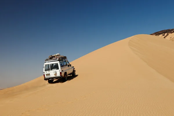 4x4 off road car drive across  black desert