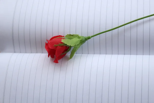 Plastic rose on the notebook