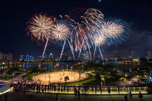 Beautiful Singapore national day fireworks at national stadium