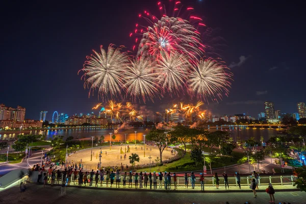Beautiful Singapore national day fireworks at national stadium