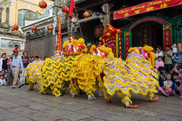 Ho Chi Minh City, Vietnam - February 18, 2015: A show of lion or dragon dance  at Pagoda, China Town, District 5, Cho Lon to praying heathty, safety and lucky during the lunar new year