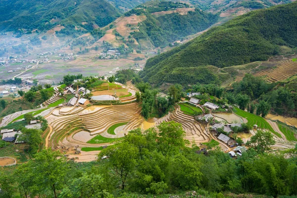 Beautiful terraced rice field in Lao cai province in Vietnam