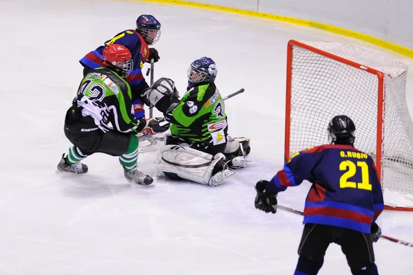 Ice Hockey final of the Copa del Rey