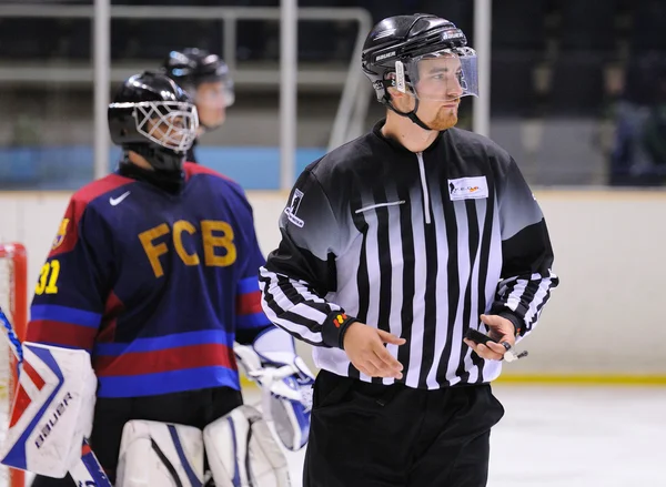 The referee in action in the Ice Hockey final