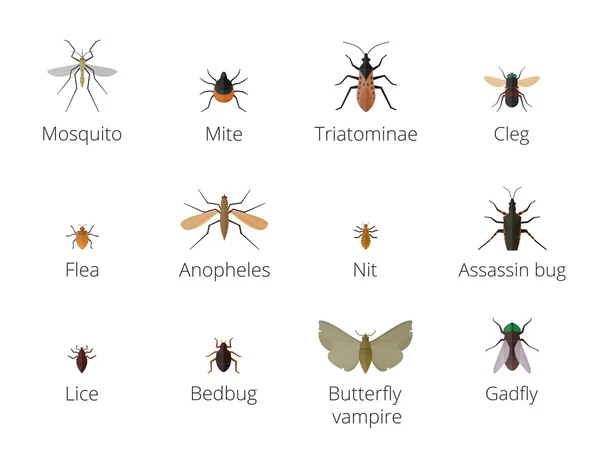 Insect parasites vector.