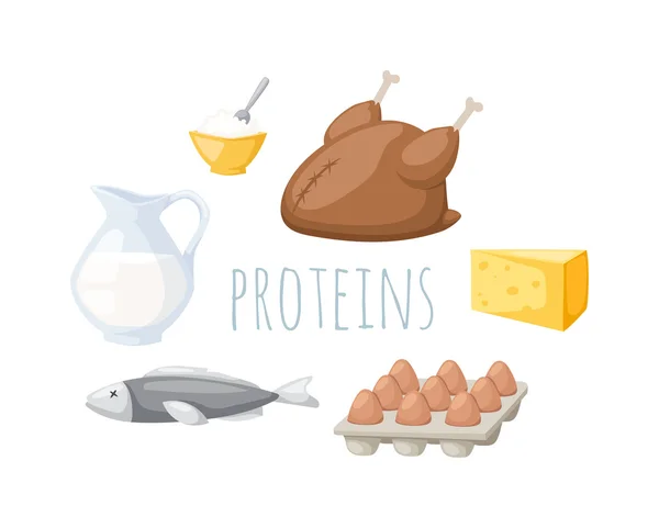 Proteins food vector illustration.