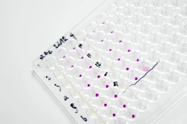 Plate in laboratory testing