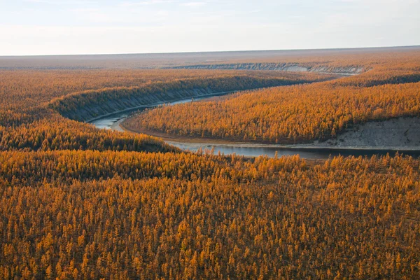 Bank of the river  and Siberian taiga in the autumn