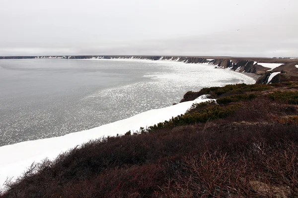 Shore of the sea of Okhotsk. Spring, Peninsula Taigonos