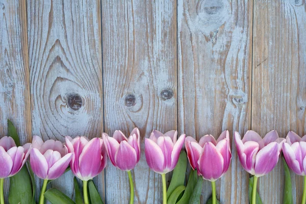 Old grey blue wooden background with pink white tulips border in a row  and empty copy space with wooden spring summer  decoration