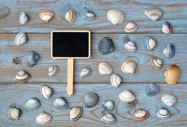 Empty black chalk board on a old knotted used wooden background with sea beach shells for a beach style mood board layout
