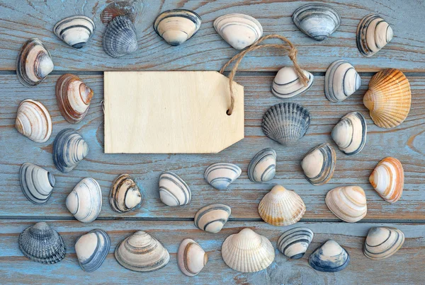 Beach and sea shells on a old grey blue knotted wooden background with a emty white wash wooden label for a beach , vacation mood board layout