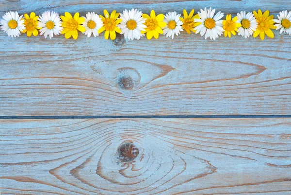 Border row of spring fieldflowers such as buttercups and daisies on a blue grey ols used knotted wood with empty space layout for basic moodboard