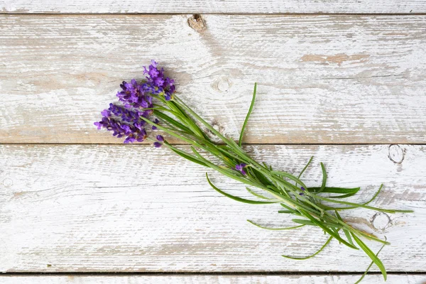 Bunch of blue purple lavender on a old white empty copy space shelves background in romantic country vintage style