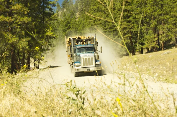Loaded logging truck speeding down dusty road