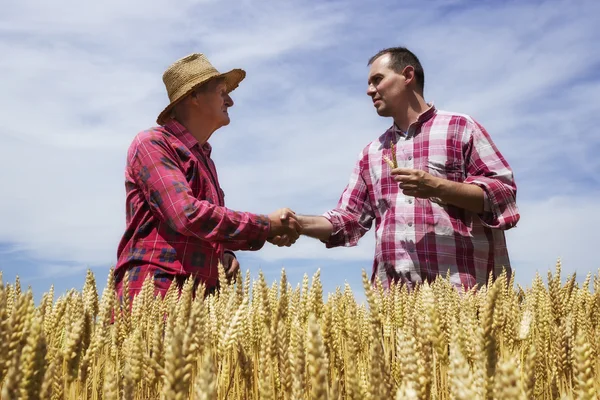 Man shake with farmer and congrats farmer for good wheat