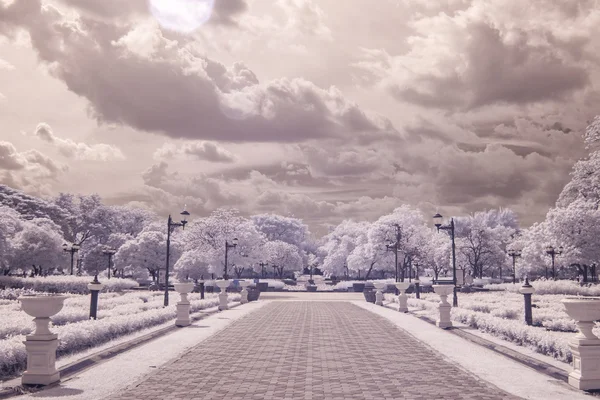 infrared photo Trees and road in public park, bangkok, thailan