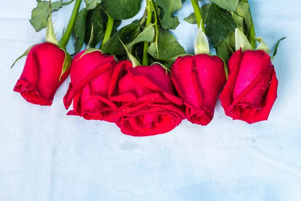 Natural red roses with water drops background