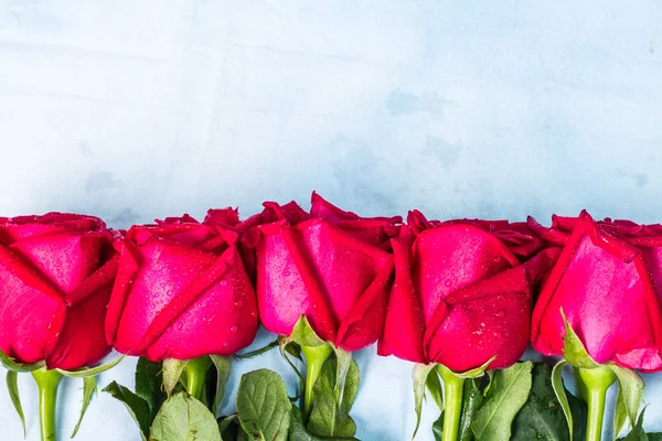 Natural red roses with water drops background