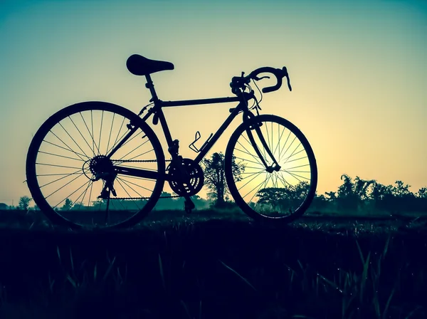 Bicycle on rural straw landscape image with Silhouette  morning