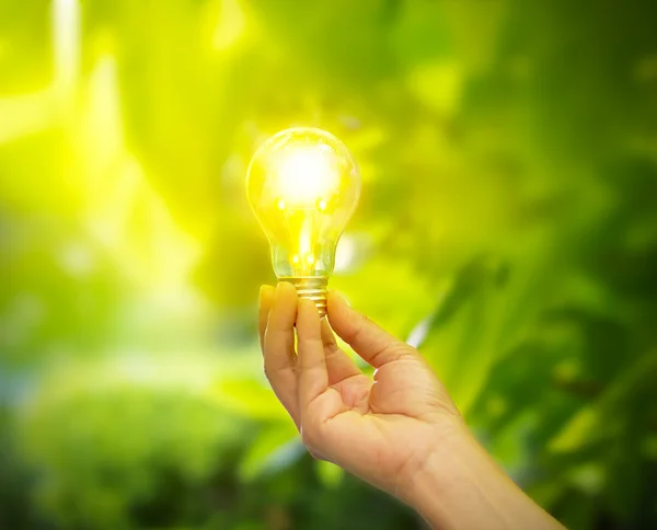 Hand holding a light bulb with energy on fresh green nature background