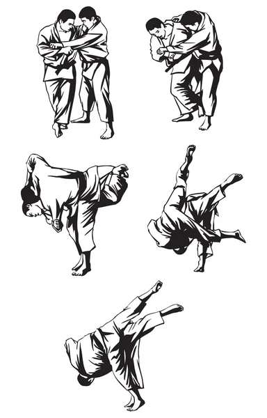 Japan Aikido fighting