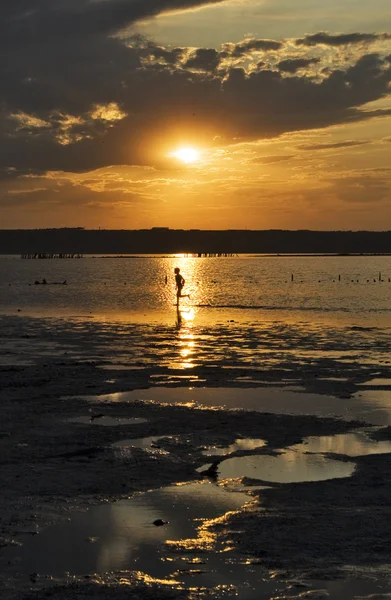 Sunny lane Images - Search Images on Everypixel