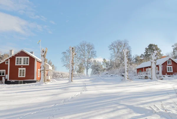 Snowy yard, red country houses, trees and blue sky