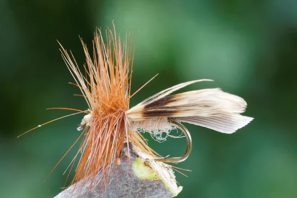 Brown dry fly fishing fly, leafs in background out of focus